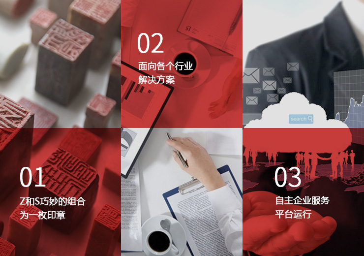 標志-LOGO設計VI設計-浙江浙科信息技術有限公司